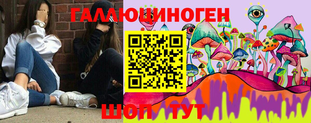 Псилоцибиновые грибы MAGIC MUSHROOMS  Вход с VPN  Нальчик 