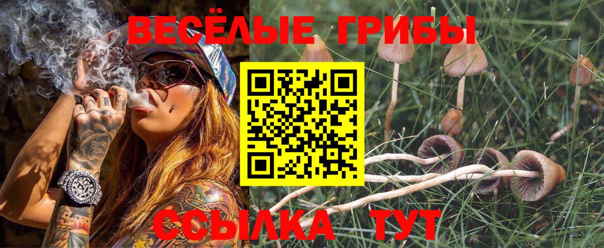 Галлюциногенные грибы Cubensis Нальчик