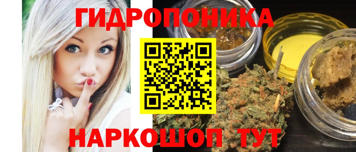 Конопля Ganja  Вход с VPN  Бошки марихуана Bruce Banner  Нальчик  Каннабис марихуана  Шишки марихуана индика 